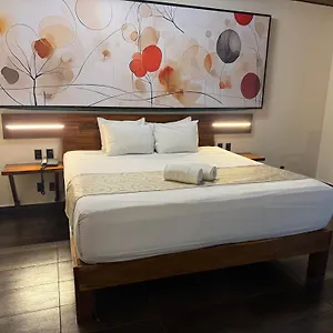 Kavia 5th Avenida (adults Only) **** Плая-дель-Кармен